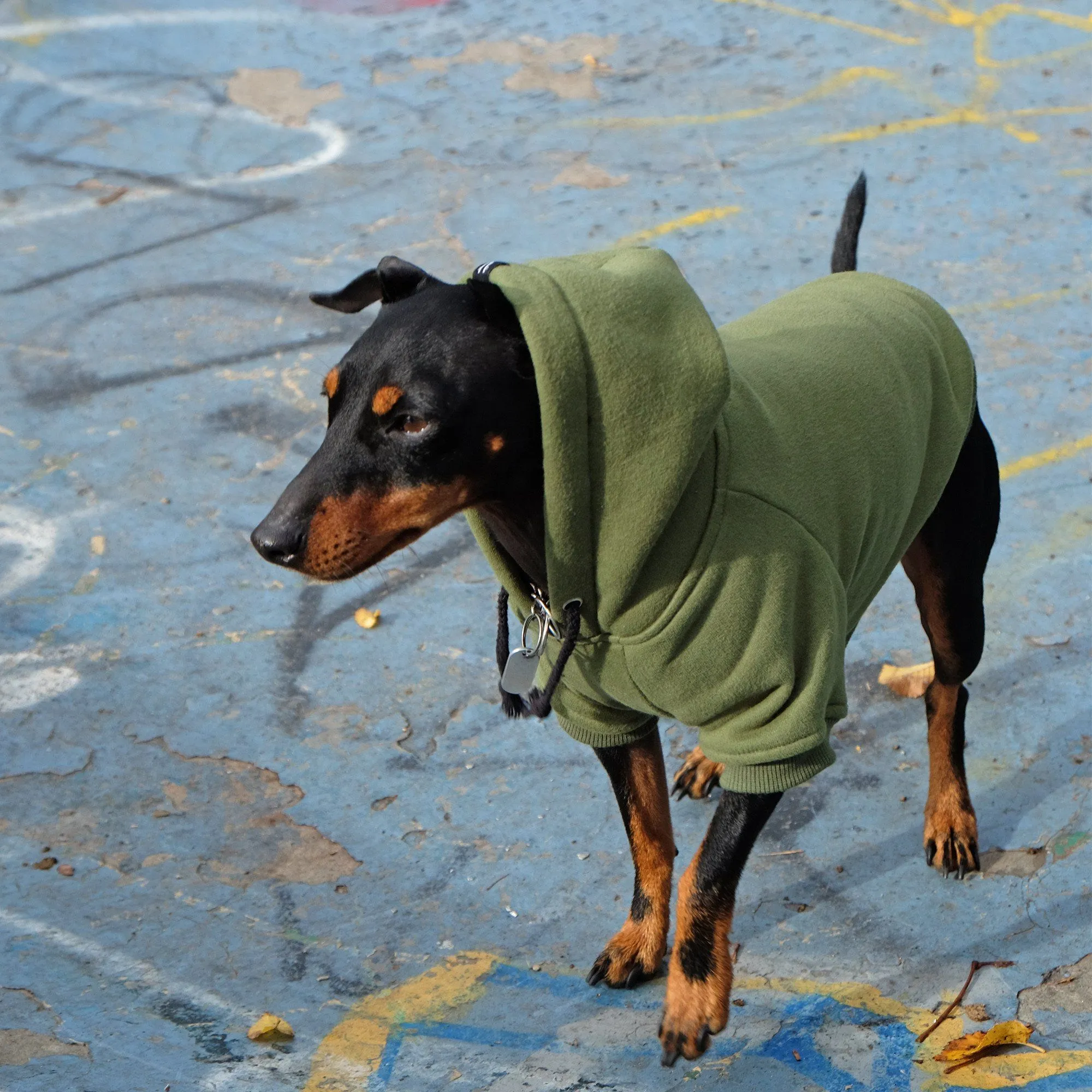 Combat Dog Hoodie